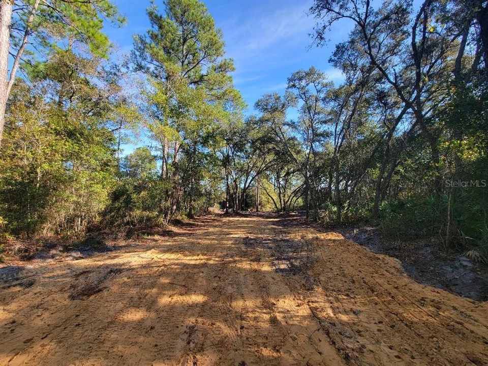 На продажу: $100,000 (4.20 acres)