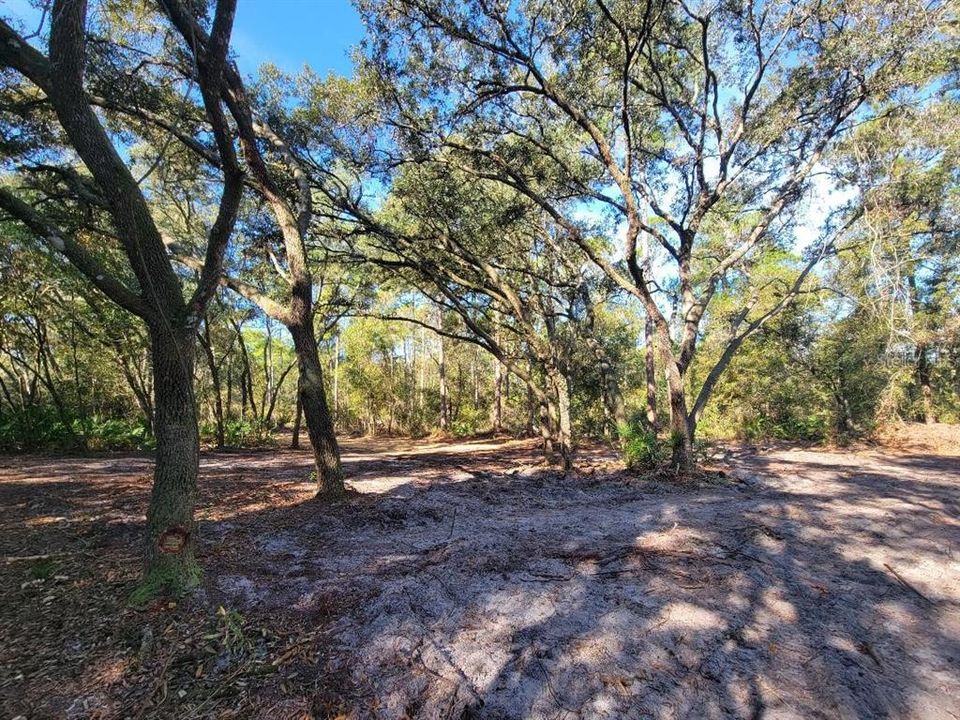 На продажу: $100,000 (4.20 acres)