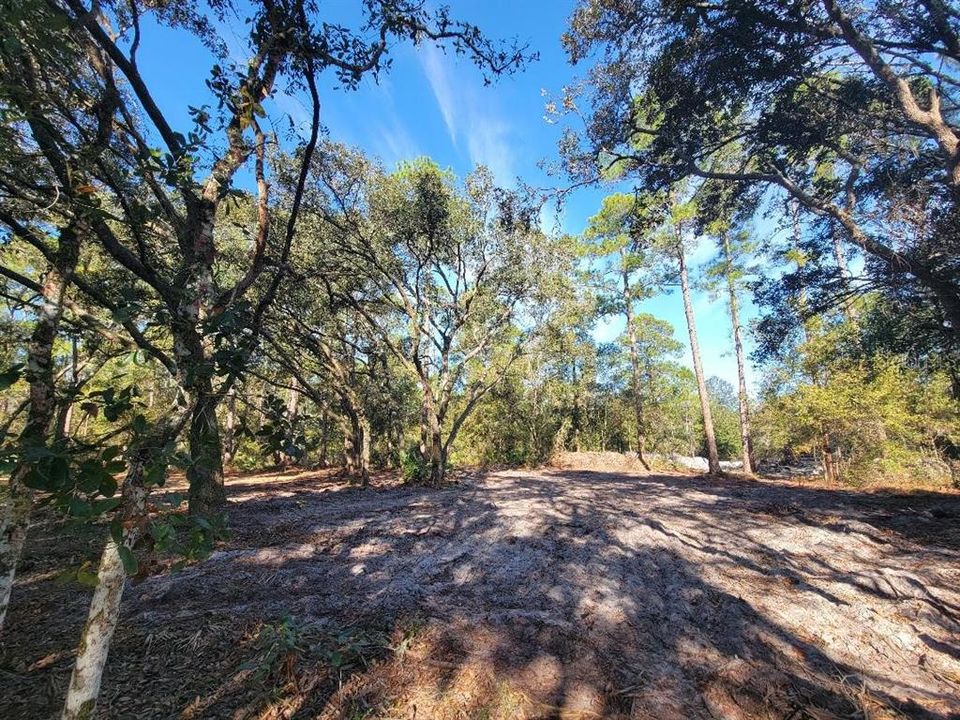 На продажу: $100,000 (4.20 acres)