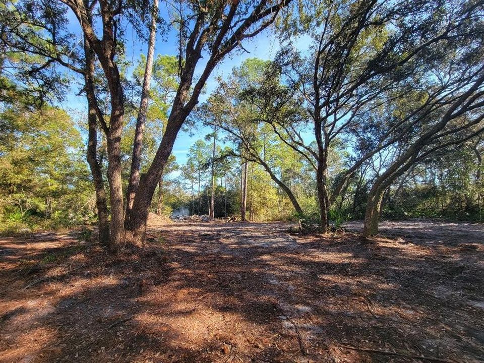 На продажу: $100,000 (4.20 acres)