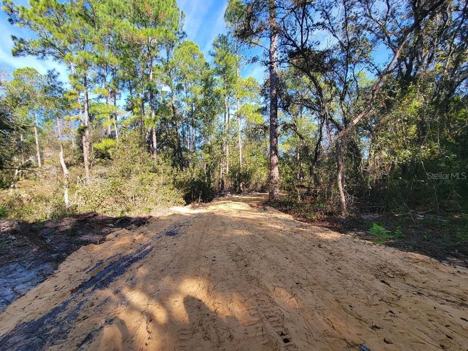 На продажу: $100,000 (4.20 acres)