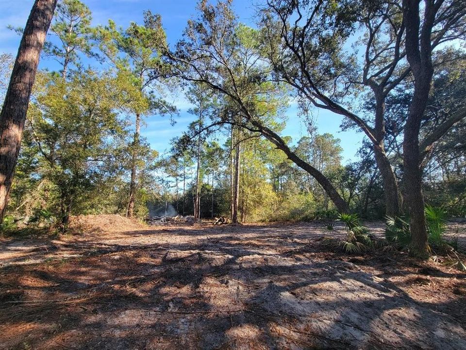 На продажу: $100,000 (4.20 acres)