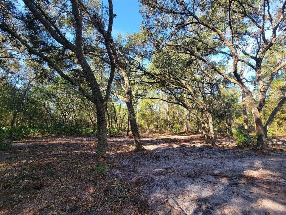 На продажу: $100,000 (4.20 acres)