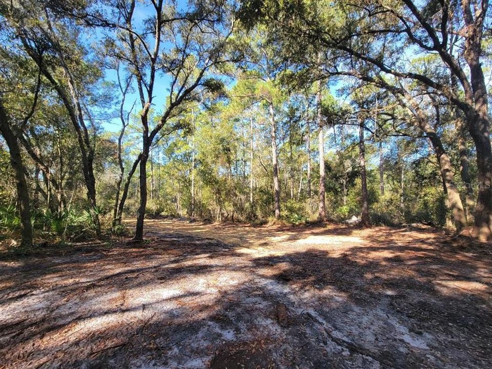 На продажу: $100,000 (4.20 acres)