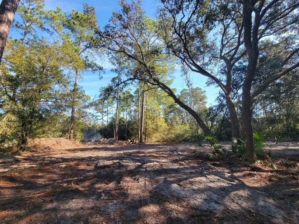 На продажу: $100,000 (4.20 acres)