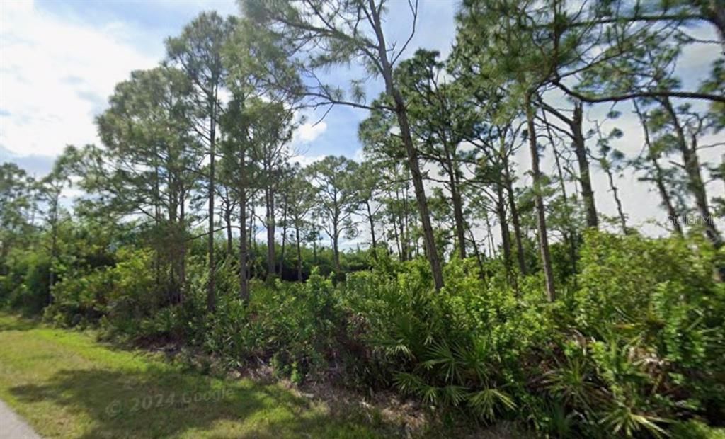 For Sale: $45,000 (0.50 acres)