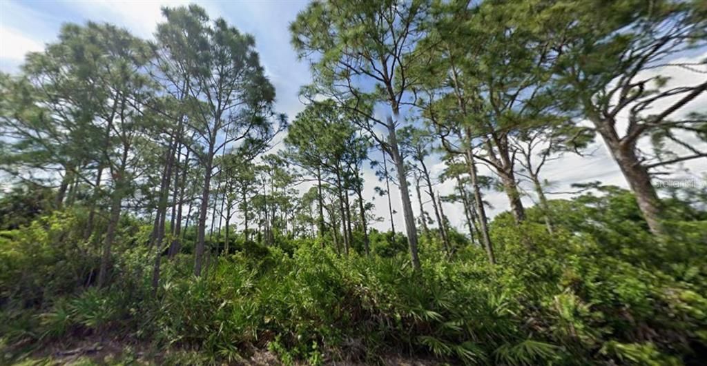 For Sale: $45,000 (0.50 acres)