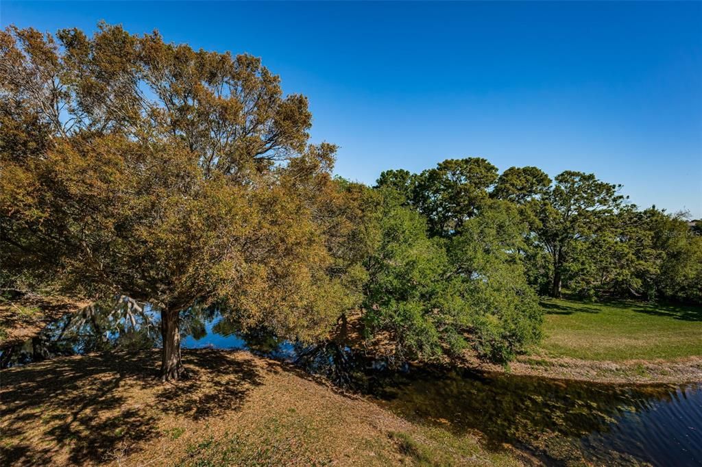 For Sale: $495,000 (4 beds, 2 baths, 2300 Square Feet)