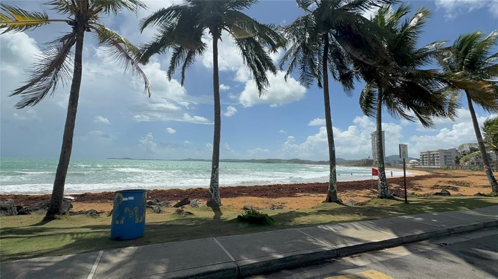 出租: $1,600 (2 贝兹, 2 浴室, 1200 平方英尺)