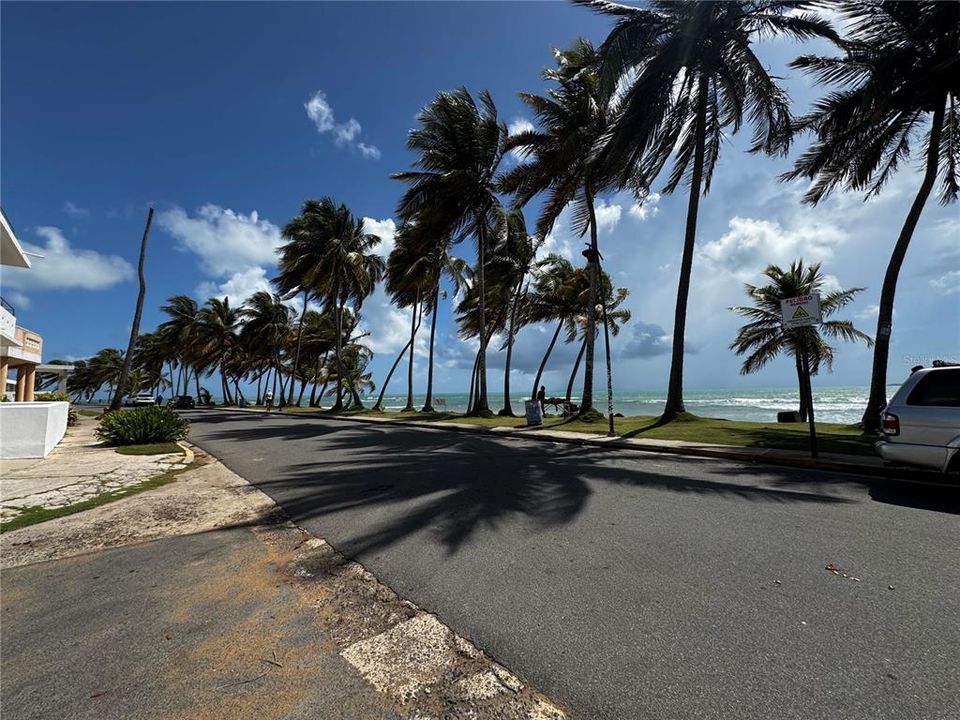 出租: $1,600 (2 贝兹, 2 浴室, 1200 平方英尺)