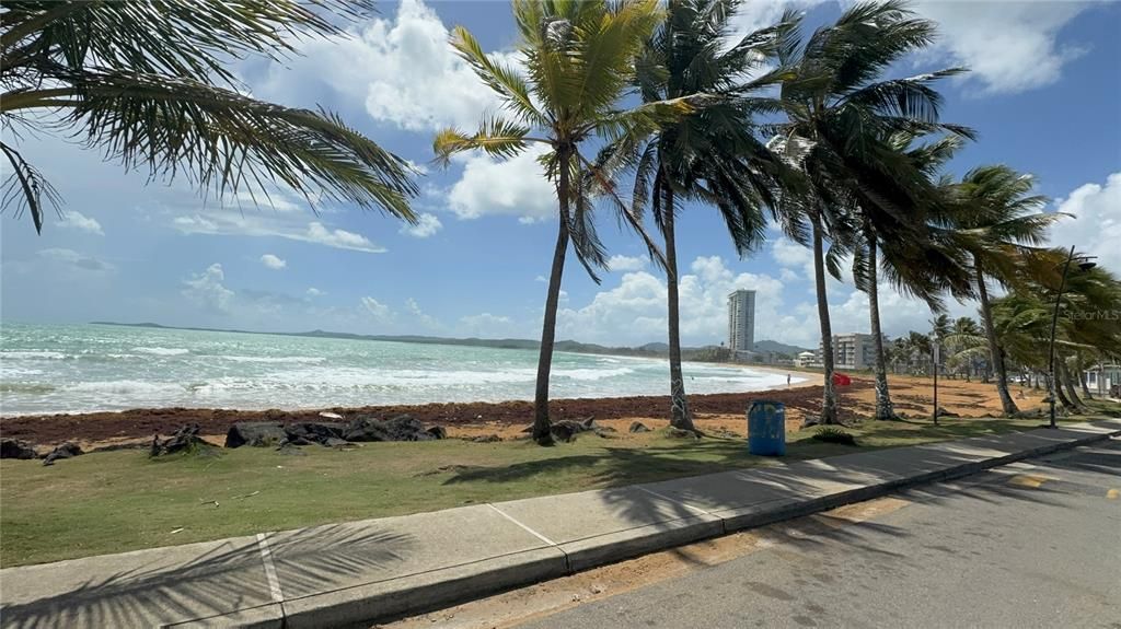 出租: $1,600 (2 贝兹, 2 浴室, 1200 平方英尺)