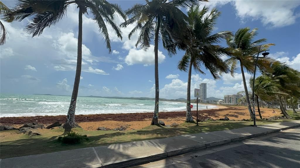 出租: $1,600 (2 贝兹, 2 浴室, 1200 平方英尺)