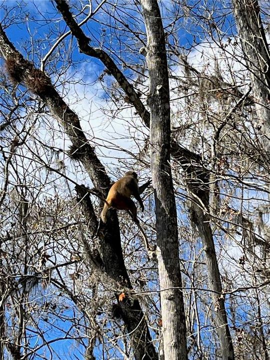 For Sale: $110,000 (0.16 acres)