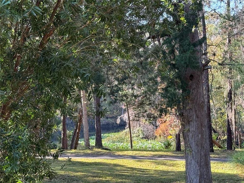 For Sale: $110,000 (0.16 acres)