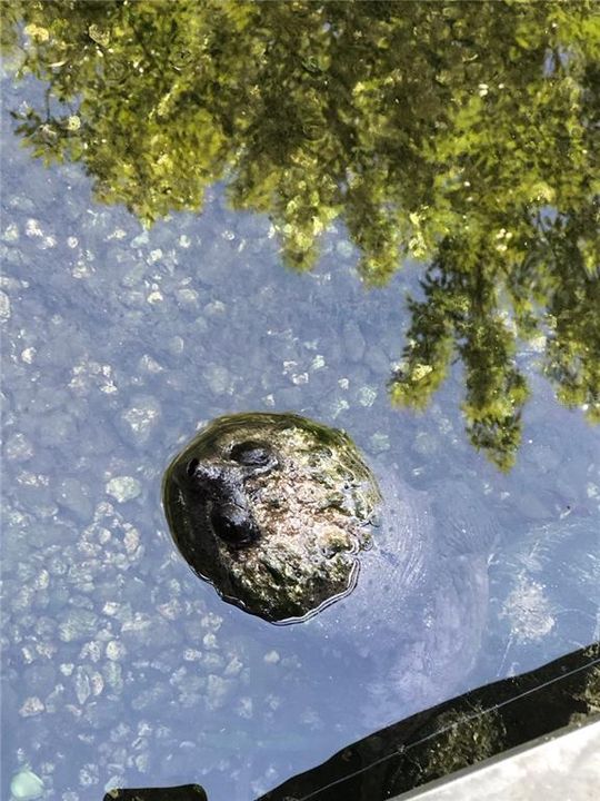 For Sale: $110,000 (0.16 acres)