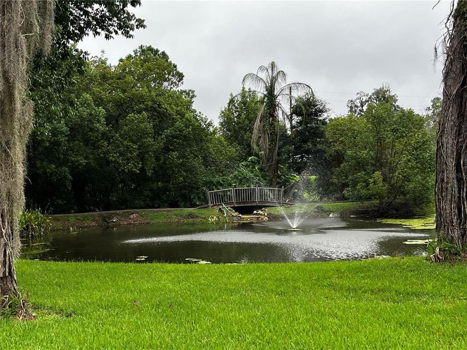 For Sale: $110,000 (0.16 acres)