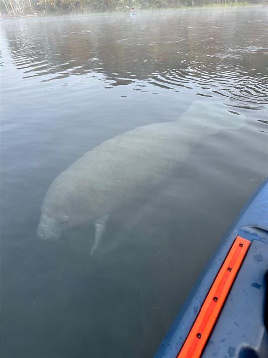 For Sale: $110,000 (0.16 acres)