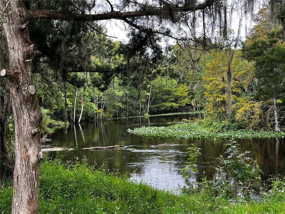 For Sale: $110,000 (0.16 acres)