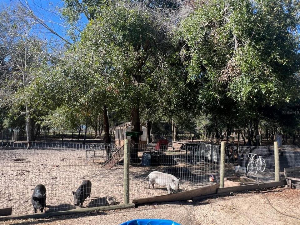 待售: $699,999 (4 贝兹, 3 浴室, 2501 平方英尺)