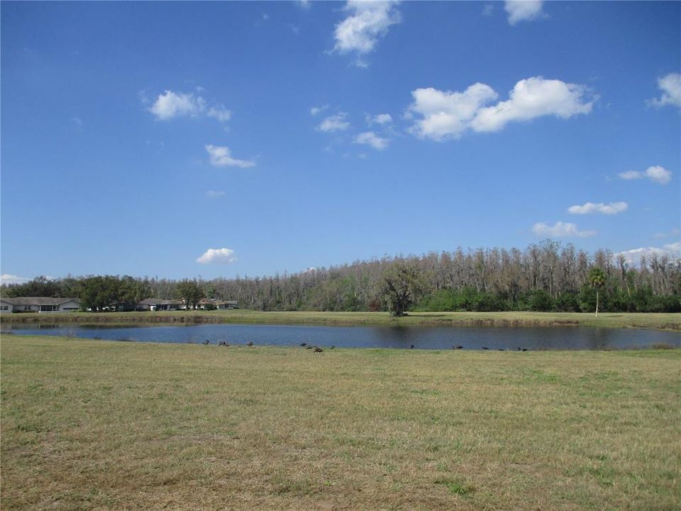 For Rent: $1,850 (2 beds, 2 baths, 1390 Square Feet)