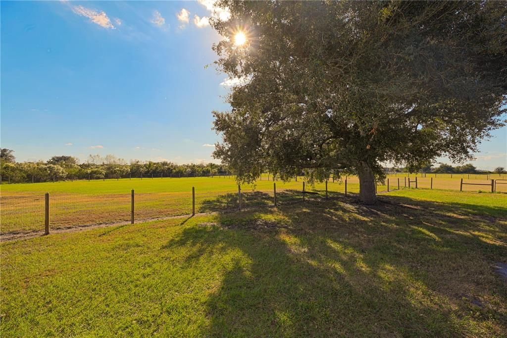 For Rent: $3,300 (3 beds, 2 baths, 960 Square Feet)