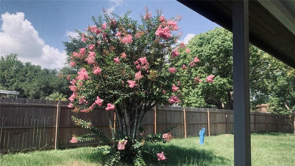 For Rent: $2,100 (3 beds, 2 baths, 1184 Square Feet)