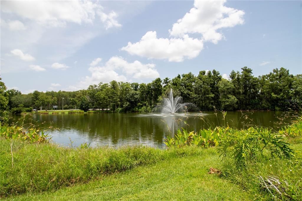 出租: $1,750 (2 贝兹, 2 浴室, 1160 平方英尺)