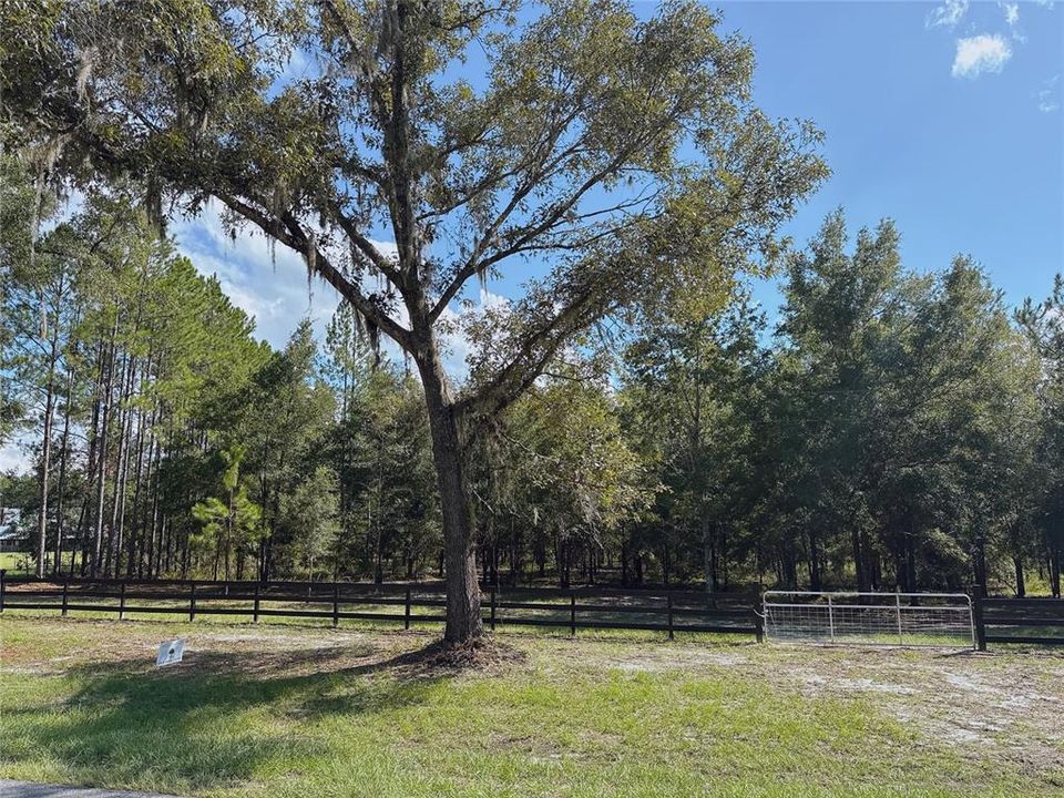 En Venta: $149,000 (5.00 acres)