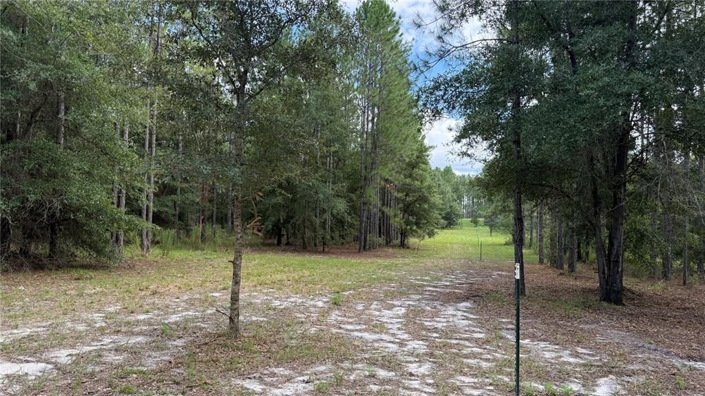 En Venta: $149,000 (5.00 acres)