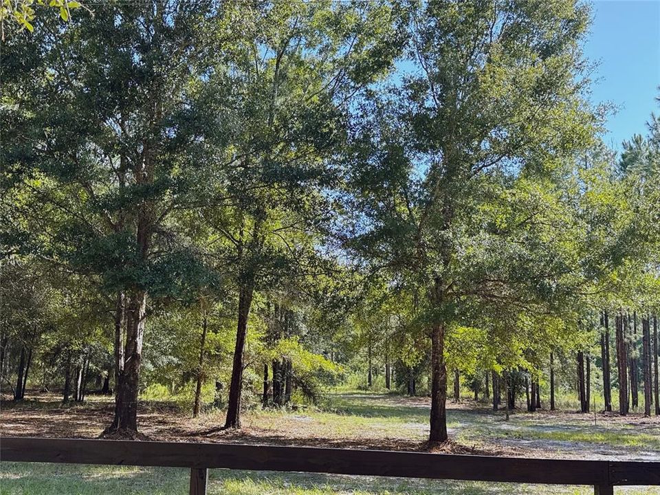 En Venta: $149,000 (5.00 acres)