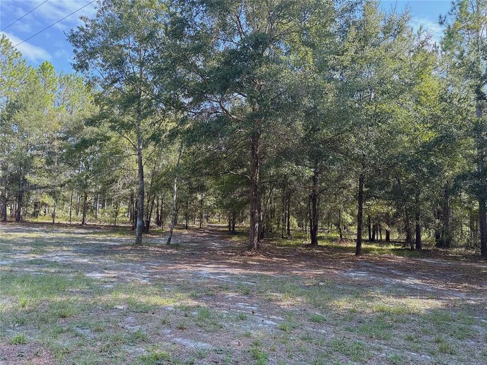 En Venta: $149,000 (5.00 acres)