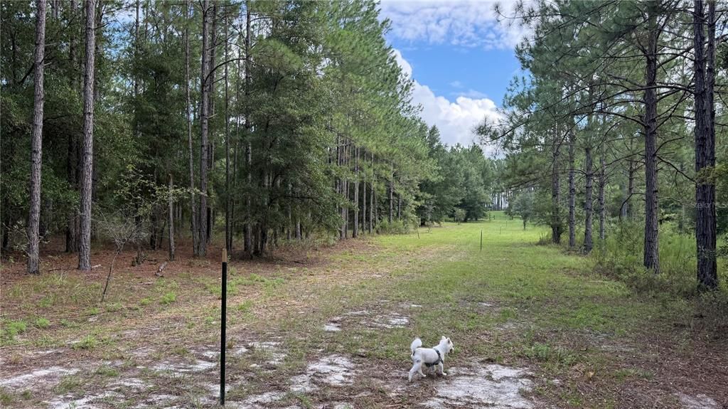 En Venta: $149,000 (5.00 acres)