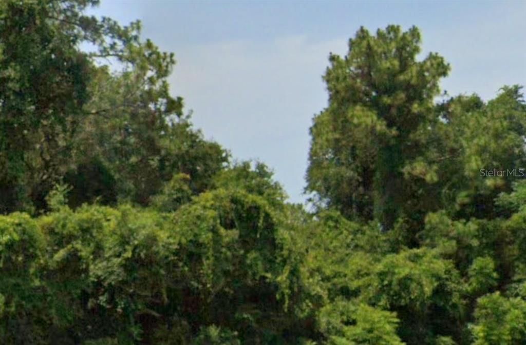 For Sale: $24,000 (0.50 acres)