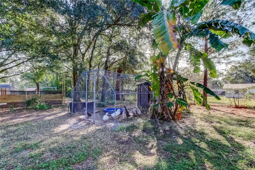 На продажу: $230,000 (2 спален, 1 ванн, 858 Квадратных фут)