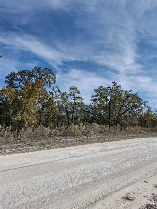 Под контрактом: $34,900 (0.50 acres)