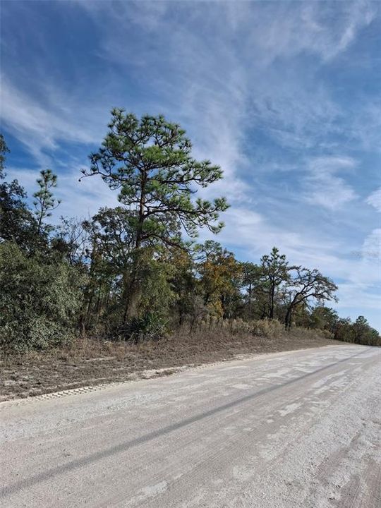 Под контрактом: $34,900 (0.50 acres)