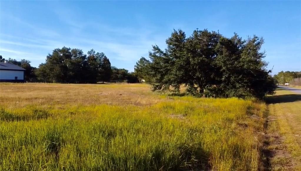 For Sale: $350,000 (3.25 acres)