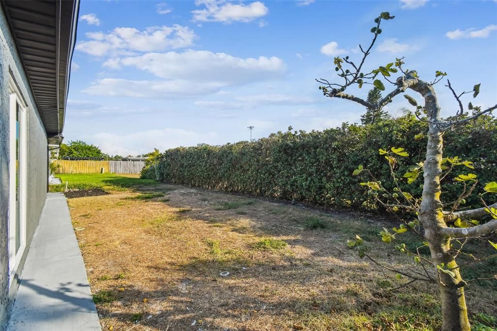 На продажу: $345,000 (3 спален, 2 ванн, 1502 Квадратных фут)