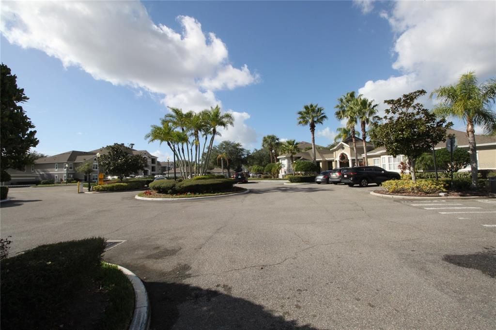 出租: $1,450 (1 贝兹, 1 浴室, 856 平方英尺)