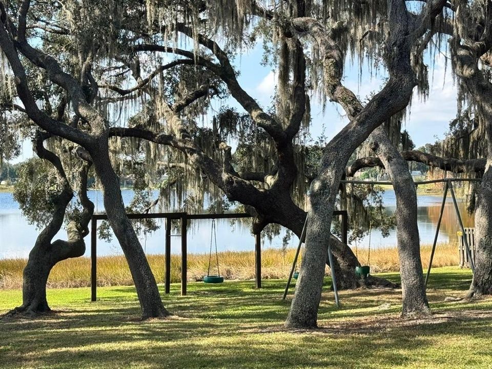 出租: $2,600 (4 贝兹, 2 浴室, 1814 平方英尺)