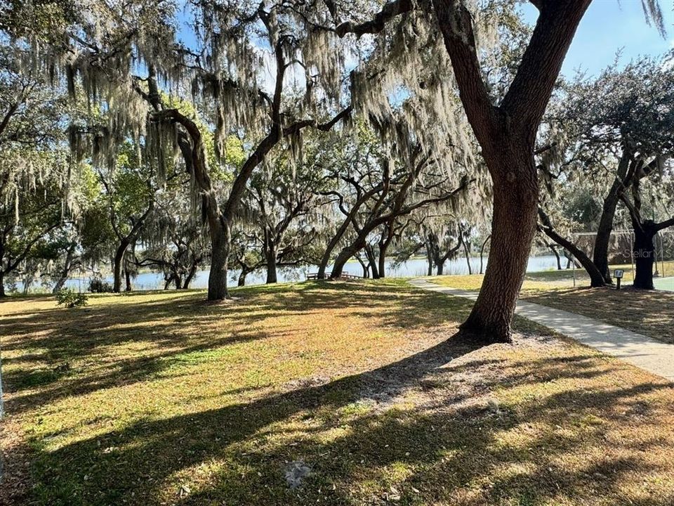 出租: $2,600 (4 贝兹, 2 浴室, 1814 平方英尺)