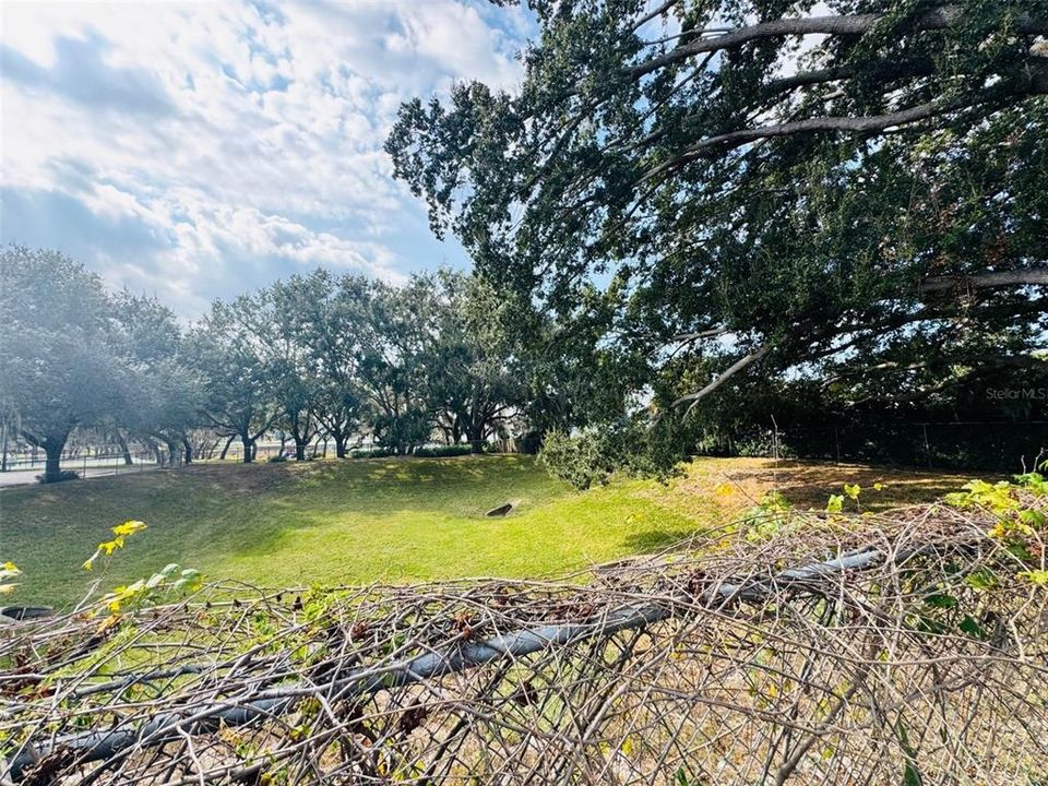 出租: $2,600 (4 贝兹, 2 浴室, 1814 平方英尺)