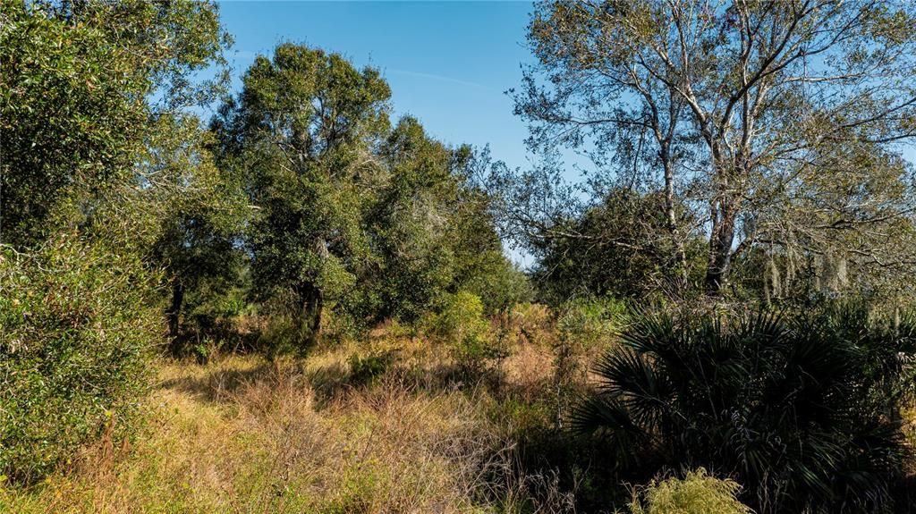 For Sale: $1,298,890 (10.00 acres)