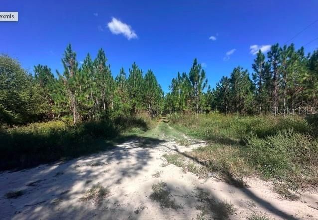 待售: $150,000 (3 贝兹, 2 浴室, 1101 平方英尺)