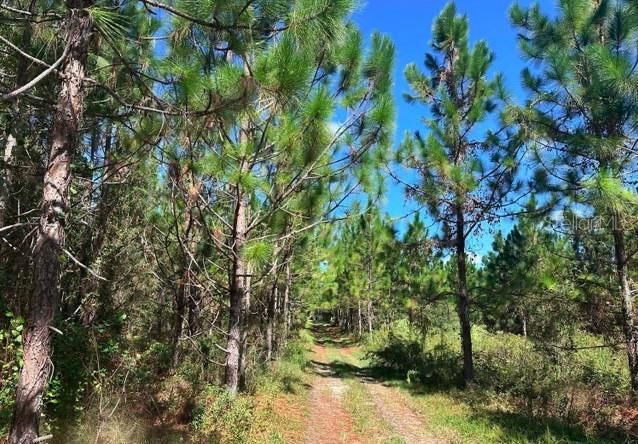 待售: $150,000 (3 贝兹, 2 浴室, 1101 平方英尺)