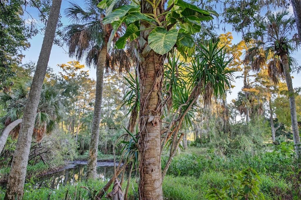 For Sale: $200,000 (3 beds, 2 baths, 1344 Square Feet)