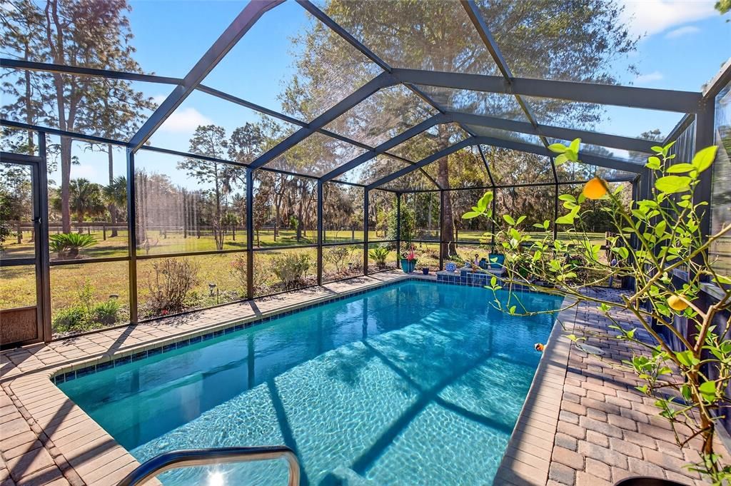 For Sale: $675,000 (3 beds, 2 baths, 1729 Square Feet)