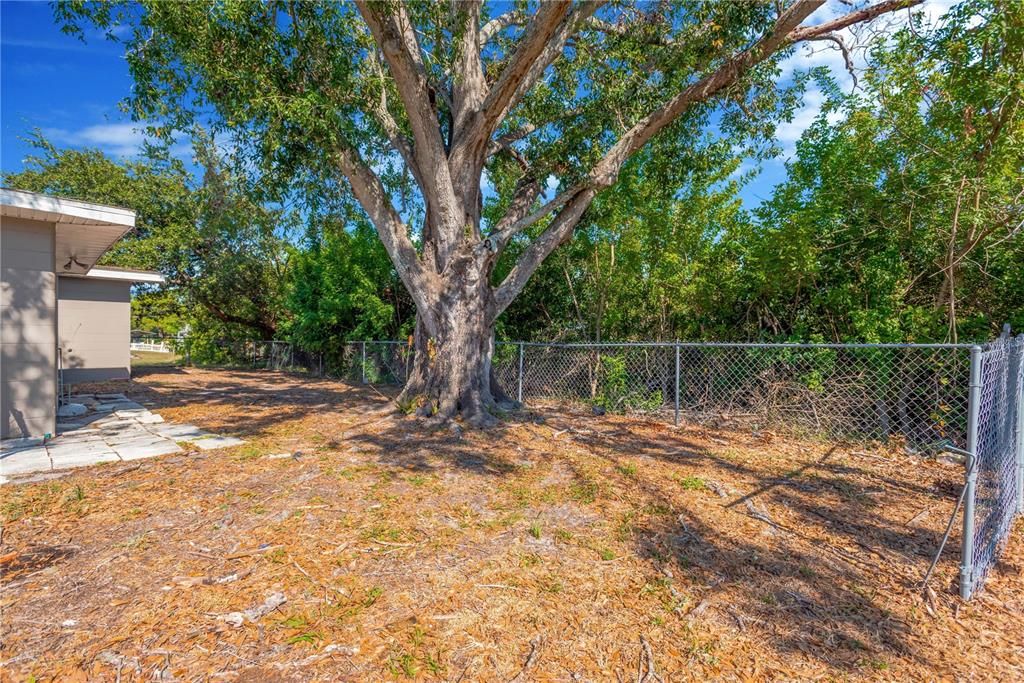 На продажу: $235,000 (2 спален, 2 ванн, 1247 Квадратных фут)