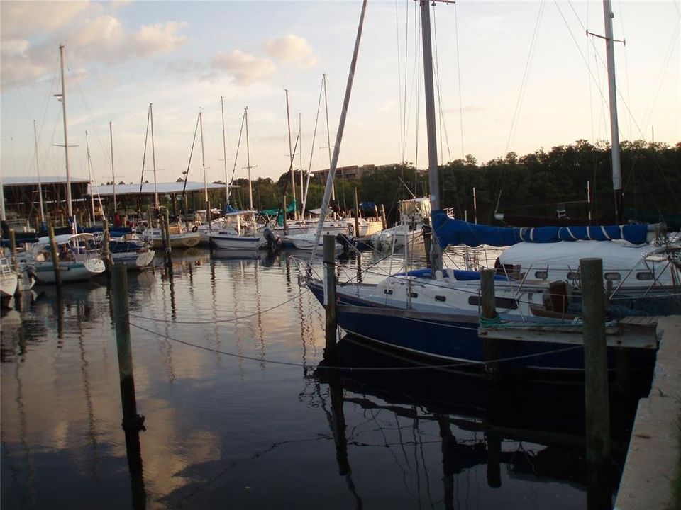 出租: $2,200 (2 贝兹, 2 浴室, 1125 平方英尺)