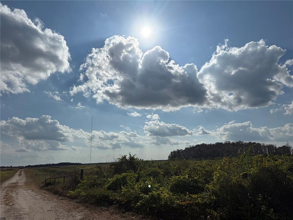 待售: $5,995 (1.26 acres)